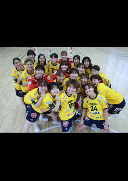 日本ハンドボールリーグ：HC名古屋