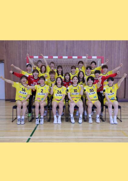 日本ハンドボールリーグ：HC名古屋