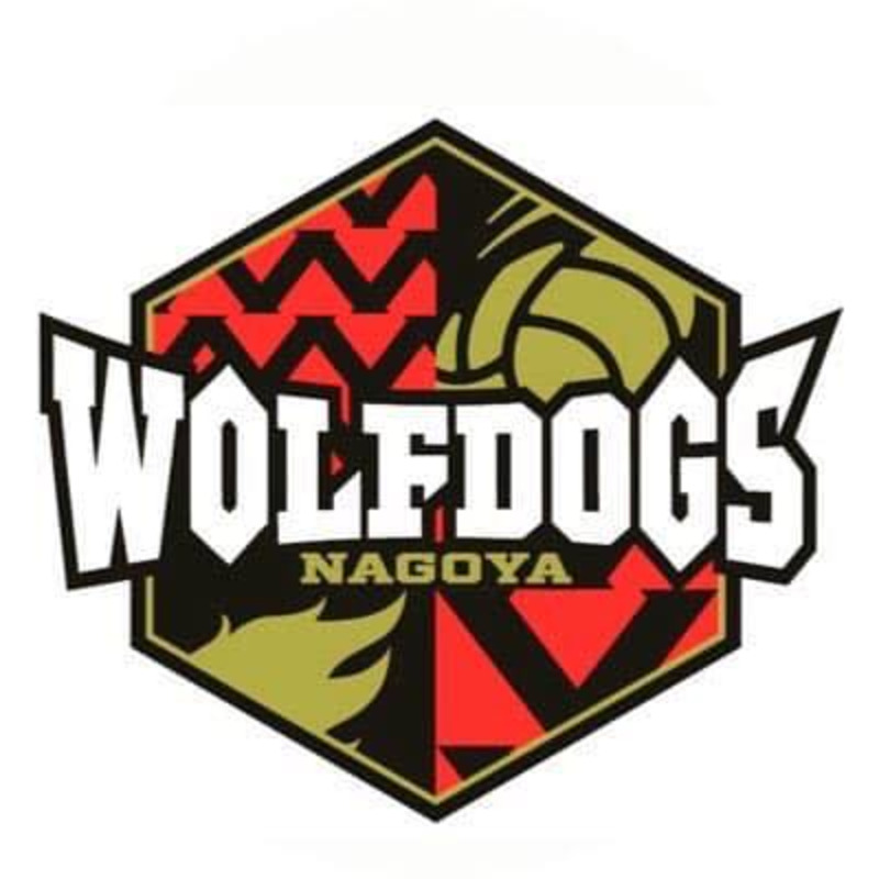 Sonoligo（ソノリゴ） | ウルフドッグス名古屋 V.LEAGUE DIVISION1に